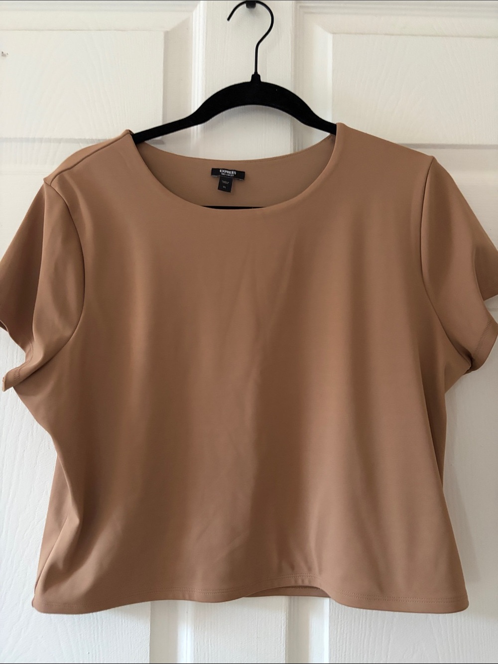 Like New XL Express Camel Short Sleeve Crop Top